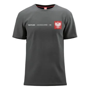 Koszulka męska Monotox MX22051 TP MINI EAGLE GRAPH MELANGE Szara - Koszulki męskie - miniaturka - grafika 1