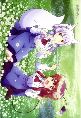 Plakat Anime Machikado Mazoku MM_014 A2 (custom)