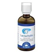 Suplementy naturalne - DR JACOBS Dr.Jacob's Lactacholin 100ml - miniaturka - grafika 1