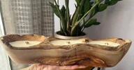 Świece - Naturalna świeca sojowa w drewnie oliwnym DOK-35 - miniaturka - grafika 1