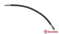 Przewody hamulcowe - BREMBO PRZEWÓD HAMULCOWY GIĘTKI BREMBO T50025 1294281035 T50025 - miniaturka - grafika 1