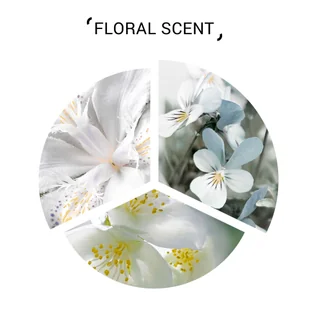 System Professional Balance Lotion wzmacniająca pielęgnacja do wrażliwej skóry głowy 125 ml - Szampony do włosów - miniaturka - grafika 7