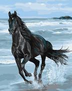 Malowanie po numerach - Artnapi 40x50cm Malowanie Po Numerach - Czarny koń - Bez Ramy - miniaturka - grafika 1