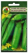 Nasiona i cebule - Ogórek pod osłony Skierniewicki 1 g PNOS - miniaturka - grafika 1
