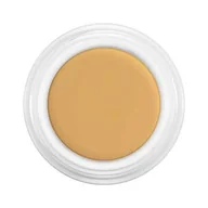 Korektory pod oczy - Kryolan Dermacolor Camouflage System Creme Kamuflaż w kremie D 2 4 ml 4041762289117 - miniaturka - grafika 1