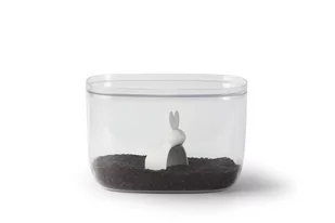 Qualy Bella Bunny 7 L Biały Pojemnik Na Żywność Z Łyżeczką W96h - Pojemniki kuchenne - miniaturka - grafika 1