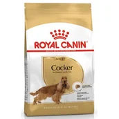 Sucha karma dla psów - Royal Canin Cocker Spaniel Adult 12 kg - miniaturka - grafika 1