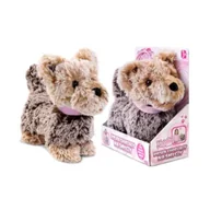 Zabawki interaktywne dla dzieci - Piesek chodzący na smyczy brązowy Artyk - miniaturka - grafika 1