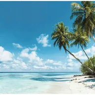 Fototapety - FOTOTAPETA PLAŻA MORZE PALMY KRAJOBRAZ NA ŚCIANĘ SYPIALNIA SALON 300x210 - miniaturka - grafika 1