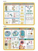 Podkładki na biurko - Visual System Podkładka na biurko Mikrobiologia, VISUAL SYSTEM - miniaturka - grafika 1