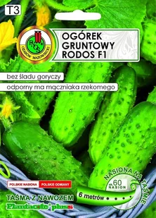 Ogórek gruntowy na taśmie Rodos F1 6 m PNOS - Nasiona i cebule - miniaturka - grafika 1
