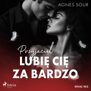Przyjaciel. Lubię cię za bardzo - Audiobooki - romanse - miniaturka - grafika 1