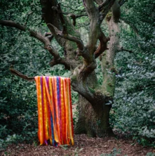 James Holden The Animal Spirits - Muzyka klubowa, dance - miniaturka - grafika 2
