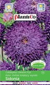 Nasiona i cebule - Aster chiński typ Sidonia Fioletowy 1 g PLANTICO - miniaturka - grafika 1