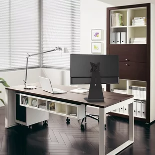 NewStar FPMA-D850BLACK NABIURKOWY STOJAK DO MONITORA - Akcesoria do monitorów - miniaturka - grafika 1