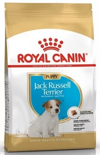 Royal Canin Jack Russel Junior 0,5 kg - Sucha karma dla psów - miniaturka - grafika 1