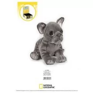 Maskotki i pluszaki - Dante Pluszak Pies Buldog francuski National Geographic GXP-735476 - miniaturka - grafika 1