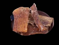 Przysmaki dla psów - Arami Arami ŚCIĘGNO WOŁOWE CAŁE - miniaturka - grafika 1