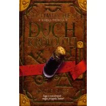 Jaguar Septimus heap księga 3 duch królowej - dostawa od 3,49 PLN - Fantasy - miniaturka - grafika 2
