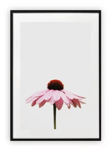 Plakat A4 21x30 cm  Rózowy kwiatek WZORY - Plakaty - miniaturka - grafika 1