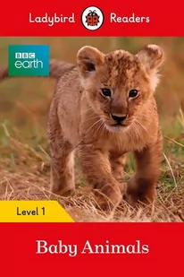 BBC Earth Baby Animals Ladybird Readers Level 1 - Podręczniki obcojęzyczne - miniaturka - grafika 1