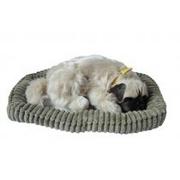 Maskotki i pluszaki - Askato Śpiący pies na poduszce Mops - miniaturka - grafika 1