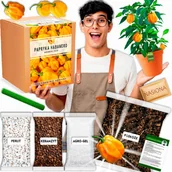 Nasiona i cebule - Papryka chili Habanero żółta Yellow Zestaw do uprawy XXL Nasiona - miniaturka - grafika 1