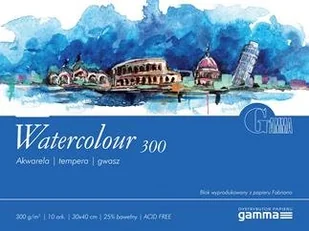 Gamma Blok biurowy Gamma Blok malarski Watercolour 300g 30x40 10ark - Notesy i bloczki - miniaturka - grafika 2
