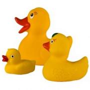 Zabawki do kąpieli - Hencz Toys Piszczki Rodzina Kaczek 825 - miniaturka - grafika 1