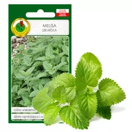 Nasiona i cebule - MELISA LEKARSKA USPOKAJA NASIONA ZIÓŁ BEZ GMO - miniaturka - grafika 1