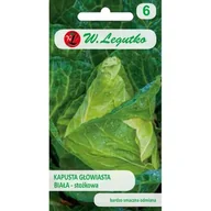 Nasiona i cebule - Legutko Kapusta biała Cour di bue grosso 1g st - miniaturka - grafika 1