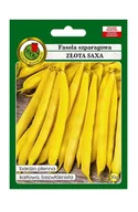 Nasiona i cebule - Fasola szparagowa żółta karłowa Złota Saxa 30 g PNOS - miniaturka - grafika 1
