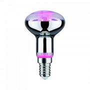 Żarówki LED - Paulmann Lampa do doświetlania kwiatów LED E14 R50 4W - miniaturka - grafika 1
