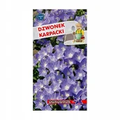 Nasiona i cebule - Dzwonek karpacki niebieski 0,5g / O / - miniaturka - grafika 1