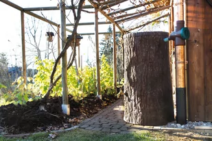 Zbiornik na deszczówkę MPI Little Tree 250 l - Zbiorniki na deszczówkę - miniaturka - grafika 2