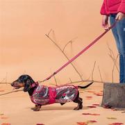 Ubranka dla psów - Disney Płaszcz przeciwdeszczowy dla psa Minnie XS - miniaturka - grafika 1