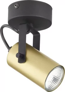 TK Lighting Lampa sufitowa TK 2793 z serii REDO - Lampy sufitowe - miniaturka - grafika 1