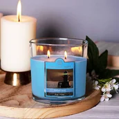 Świece - Świeca zapachowa w owalnym szkle 2 knoty Colonial Candle 226 g Zamglony Port - miniaturka - grafika 1