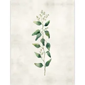 Obrazy i zdjęcia - Obraz 50 x 70 cm płótno 5070,001 - miniaturka - grafika 1