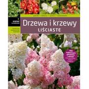 Drzewa i krzewy liściaste - Szmit Bronisław, Szmit Bronisław Jan, Maciej Mynett