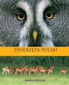 Nauki przyrodnicze - Zwierzęta Polski - miniaturka - grafika 1