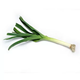 Por 10kg - Szybkie dania obiadowe - miniaturka - grafika 1