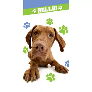 Carbotex, Ręcznik bawełniany, Pies, 70x140 cm - Okrycia kąpielowe dla dzieci - miniaturka - grafika 1