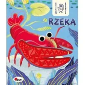 Literatura popularno naukowa dla młodzieży - Rzeka. Dotykam, poznaję - miniaturka - grafika 1
