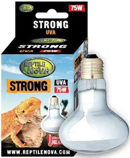 REPTILE NOVA Żarówka Grzewcza Uva - Reptile Nova Strong 75W - Akcesoria do terrarium - miniaturka - grafika 1