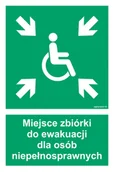 Systemy ekspozycyjne i znaki informacyjne - AF024 MIEJSCE ZBIÓRKI DO EWAKUACJI DLA NIEPEŁNOSPRAWNYCH, KN - FOLIA PODŁOGOWA NIEŚWIECĄCA; (350X525MM) - miniaturka - grafika 1
