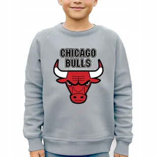 Bluza Szara Dziecięca Prezent Dla Fana Koszykówki Nba Chicago Bulls Wz 116 - Moda i Uroda OUTLET - miniaturka - grafika 1