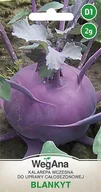 Nasiona i cebule - Kalarepa wczesna Blankyt 2g nasiona - WegAna - miniaturka - grafika 1