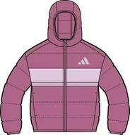 Kurtki i płaszcze dla chłopców - adidas Uniseks - dzieci SYNTHETIC DOWN JACKET, pink fusion/clear pink/true pink, 15-16 Years - miniaturka - grafika 1