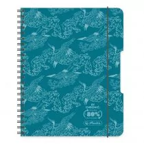 Herlitz Kołobrulion A5 Eco PP Colors turkus kratka 80 kartek 4 szt. - Zeszyty szkolne - miniaturka - grafika 1